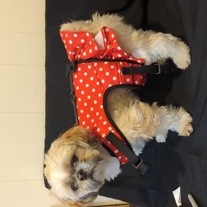 Disney Tails Minnie Mouse Costume with Clips and Skirt Red Polka Dot Bows